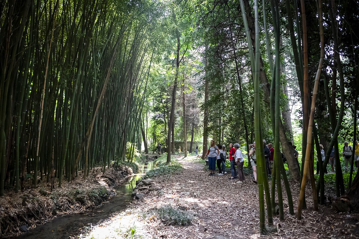 L&rsquo;attesa degli alberi