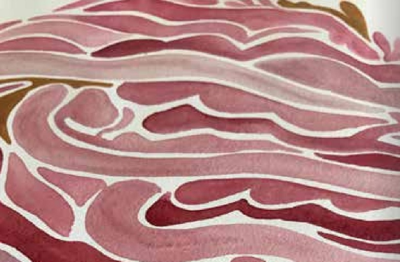 Mostra d'arte contemporanea e avvio del progetto fotografico con Maurizio Beucci per Vendemmia in Arte