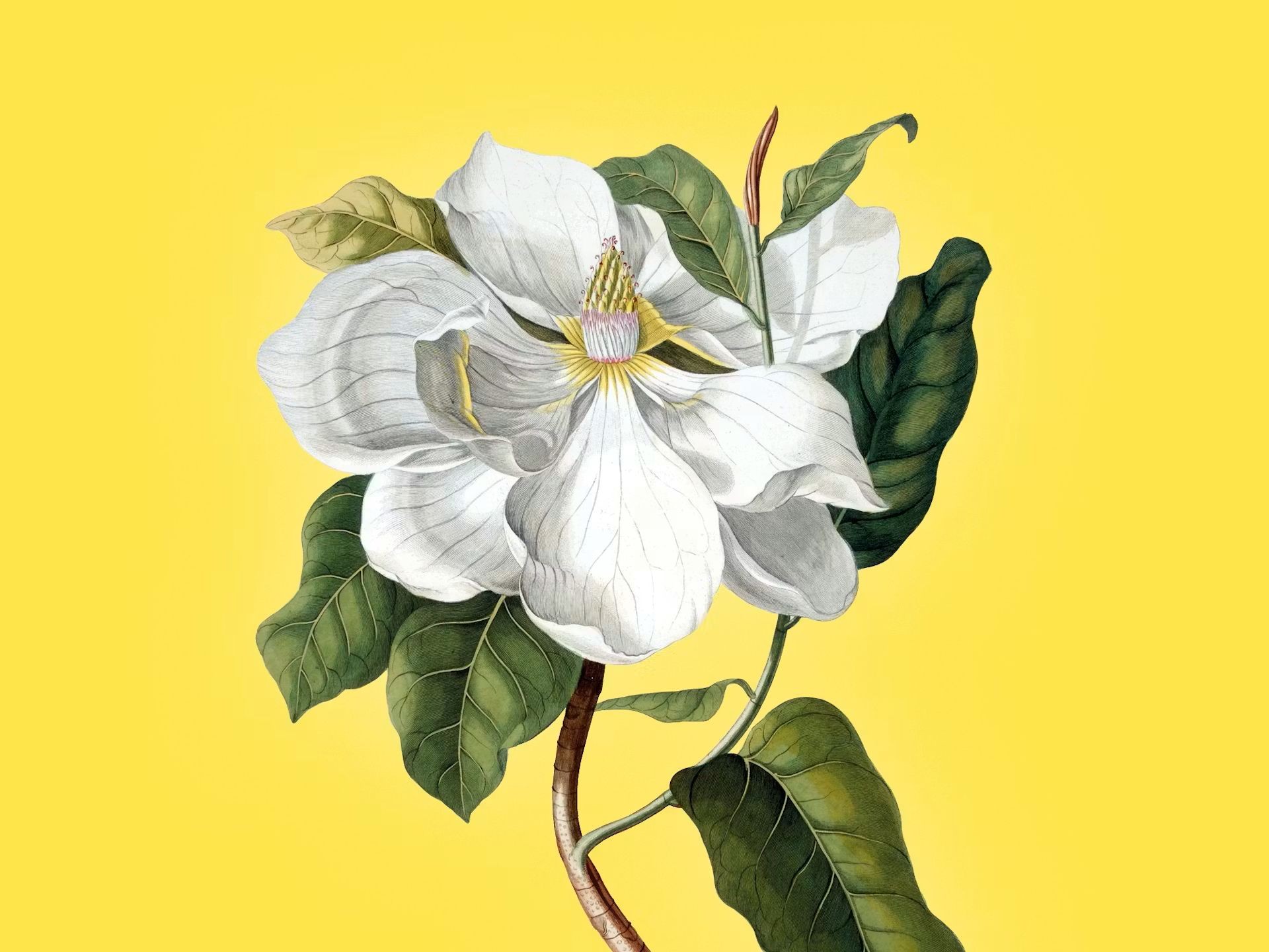 Tre Giorni per il Giardino 2026