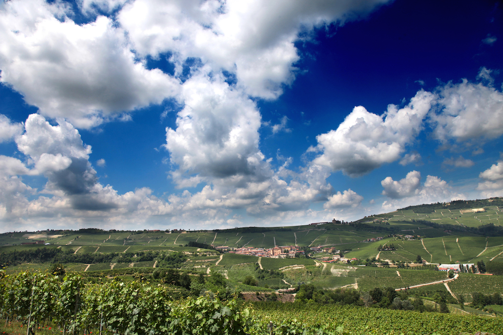 Il WiMu di Barolo festeggia il giorno di San Giuseppe e invita tutti i pap&agrave; a visitare il Museo del Vino