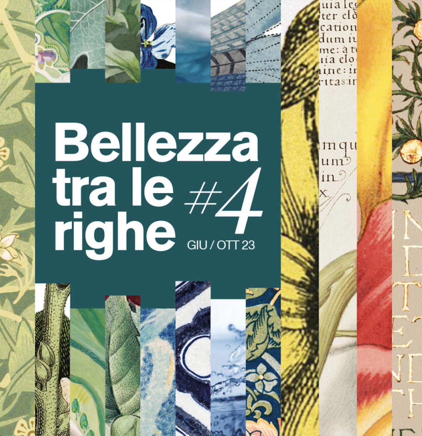 Bellezza tra le righe
