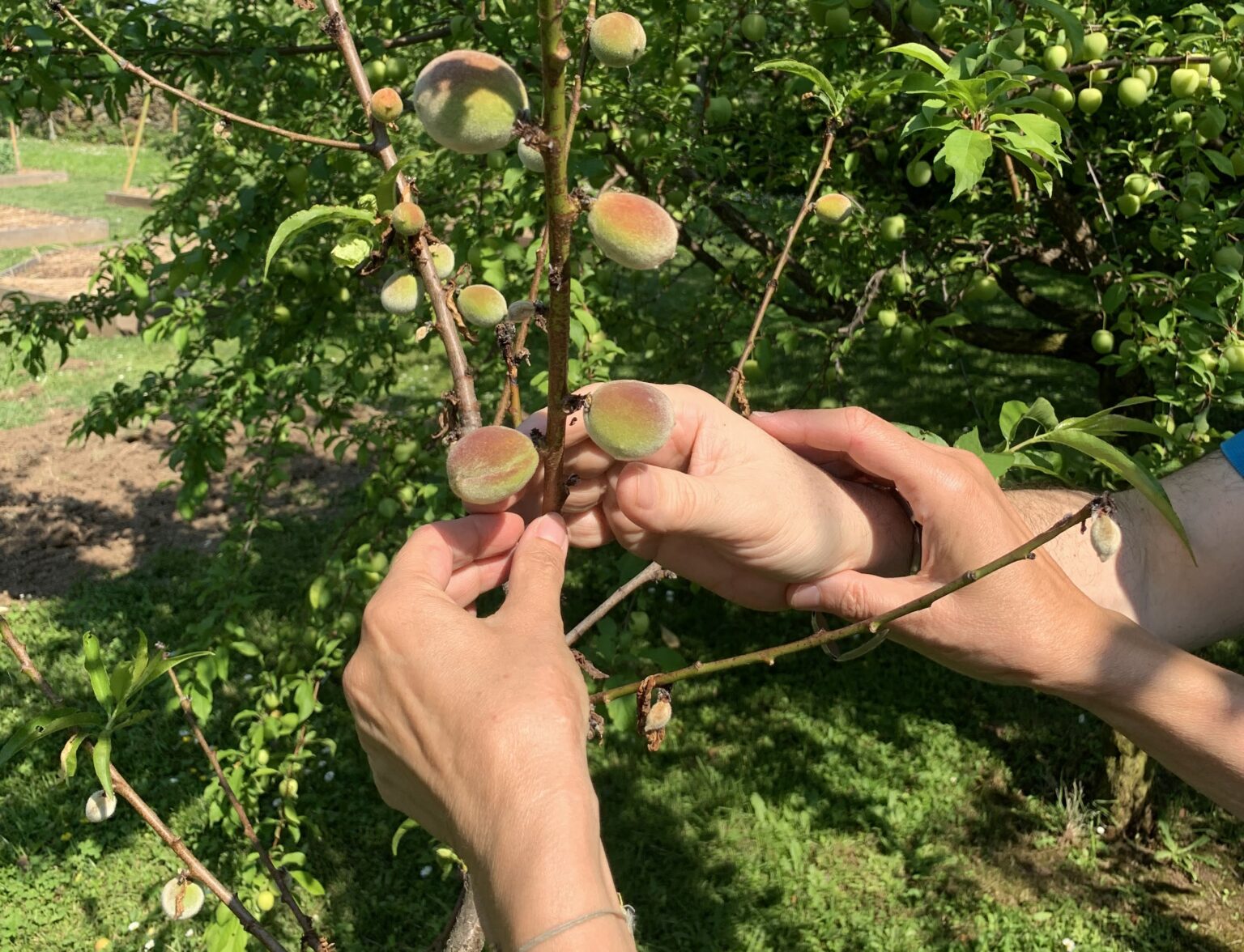 Passeggiata sensoriale a casa Lajolo