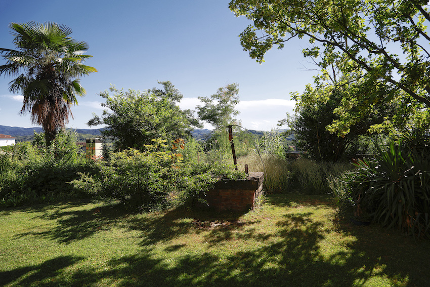 &ldquo;Vite in giardino&rdquo; al Castello di Morsasco