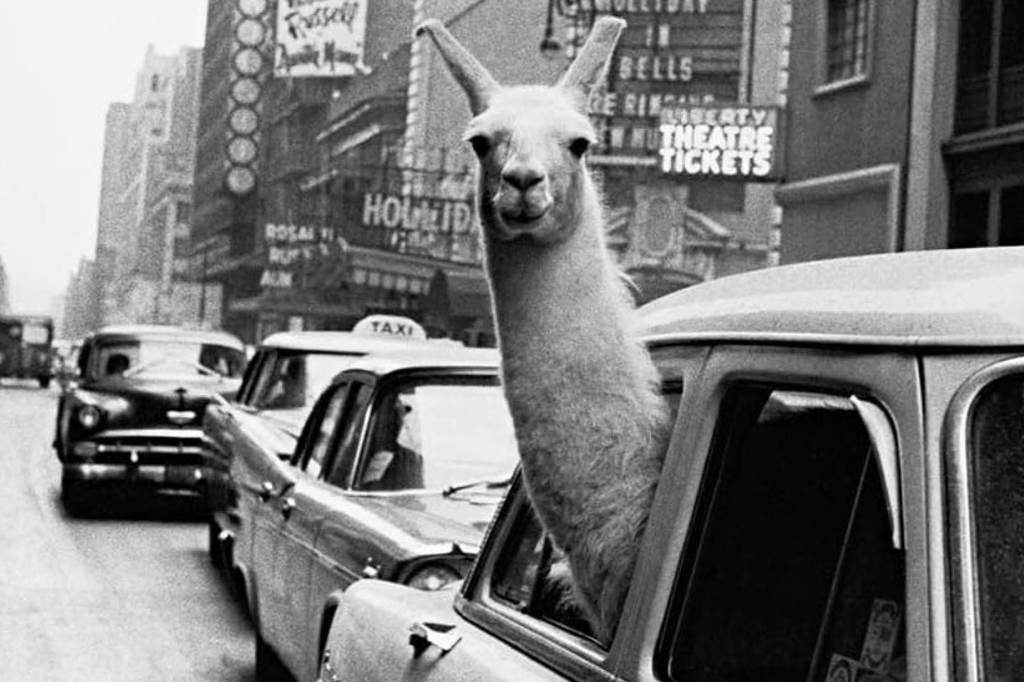 &ldquo;Inge Morath. L&rsquo;occhio e l&rsquo;anima&rdquo;