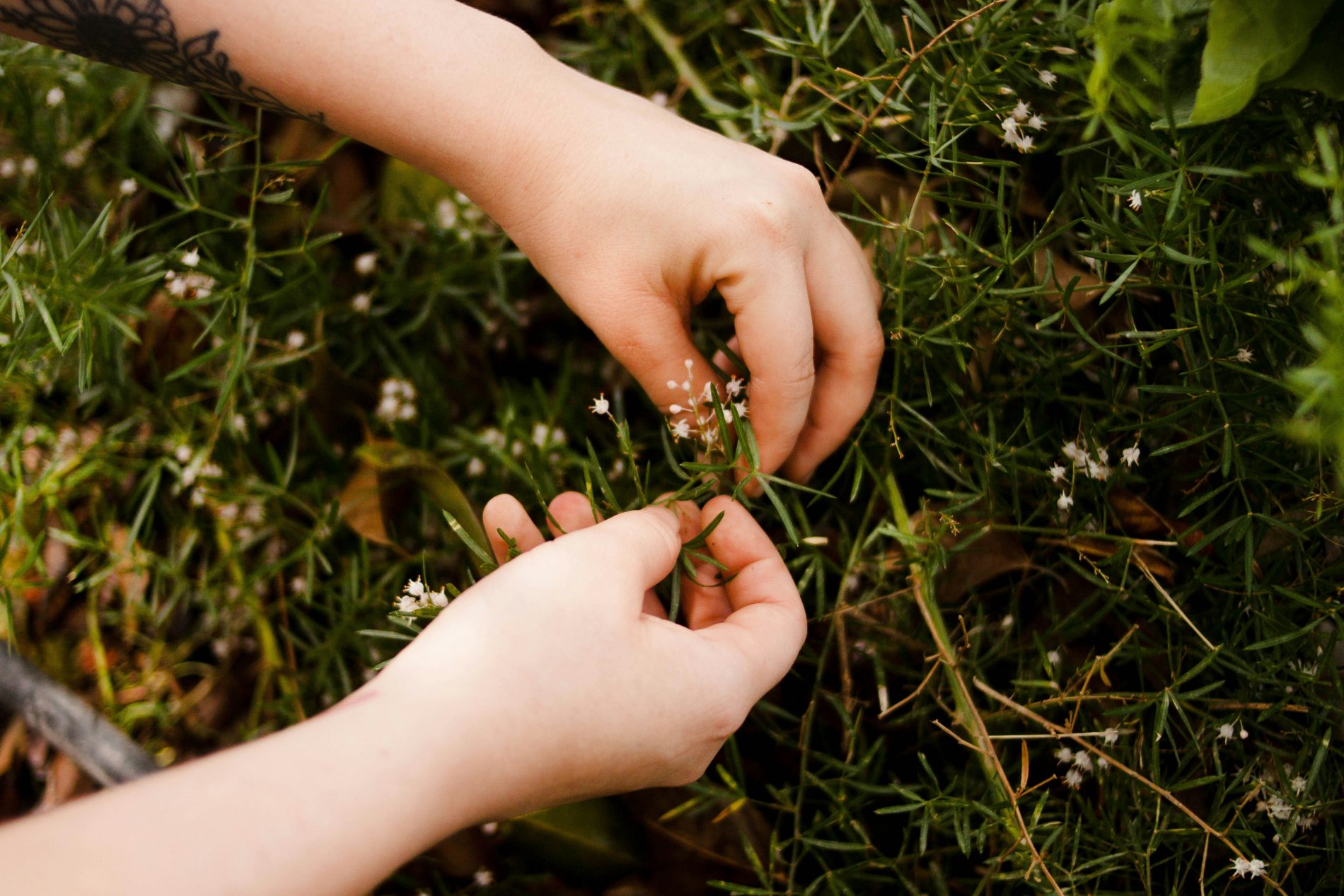 La domenica dei piccoli nel parco del castello di Miradolo