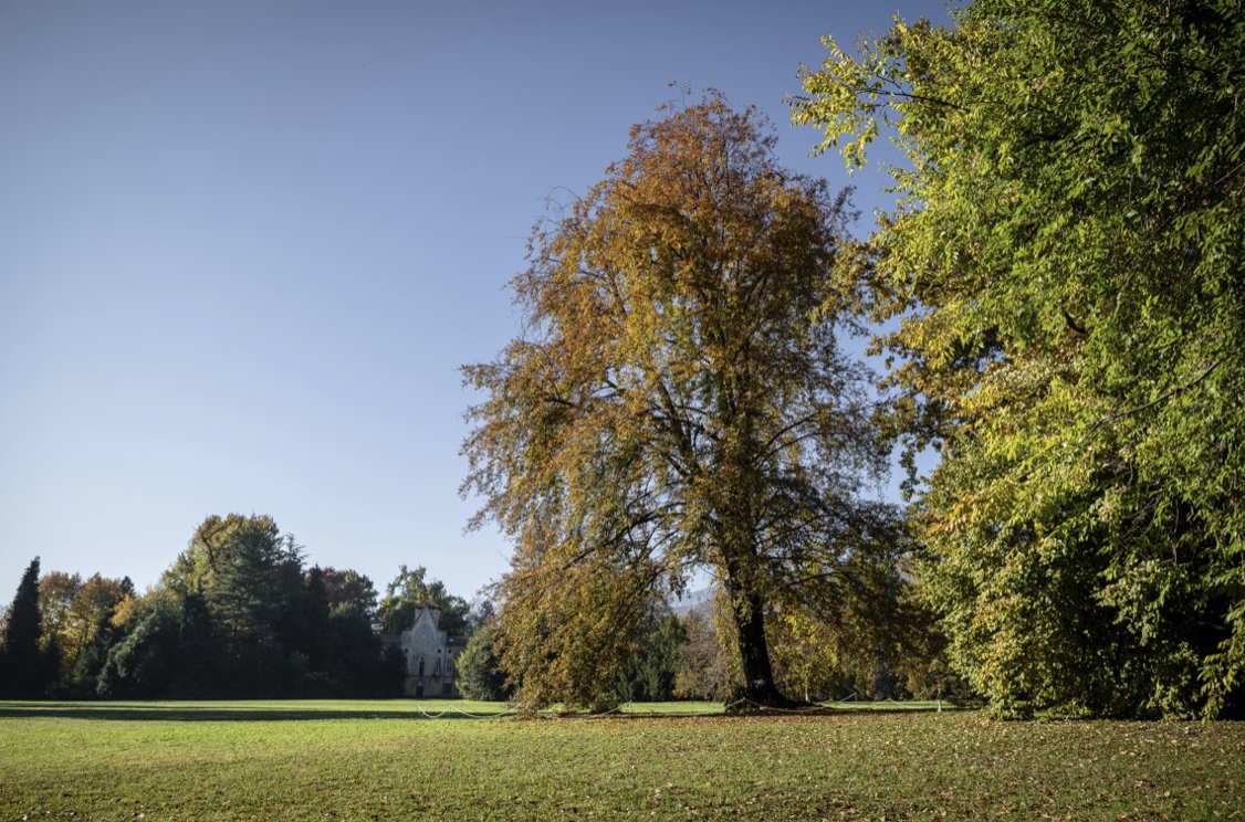 Italo Calvino. Immagini e note a pi&egrave; di pagina