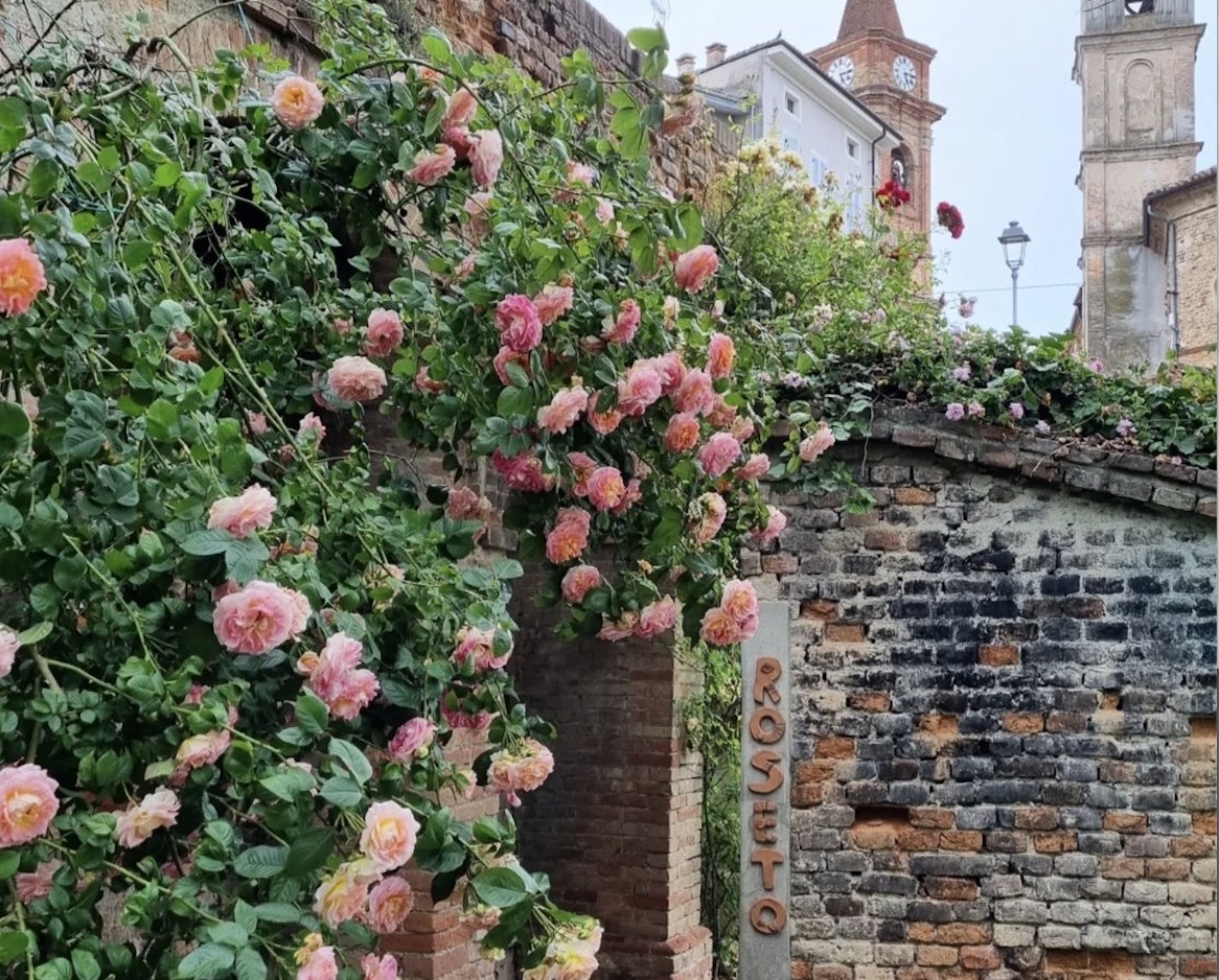 Regalmente Rosa al Castello Reale di Govone
