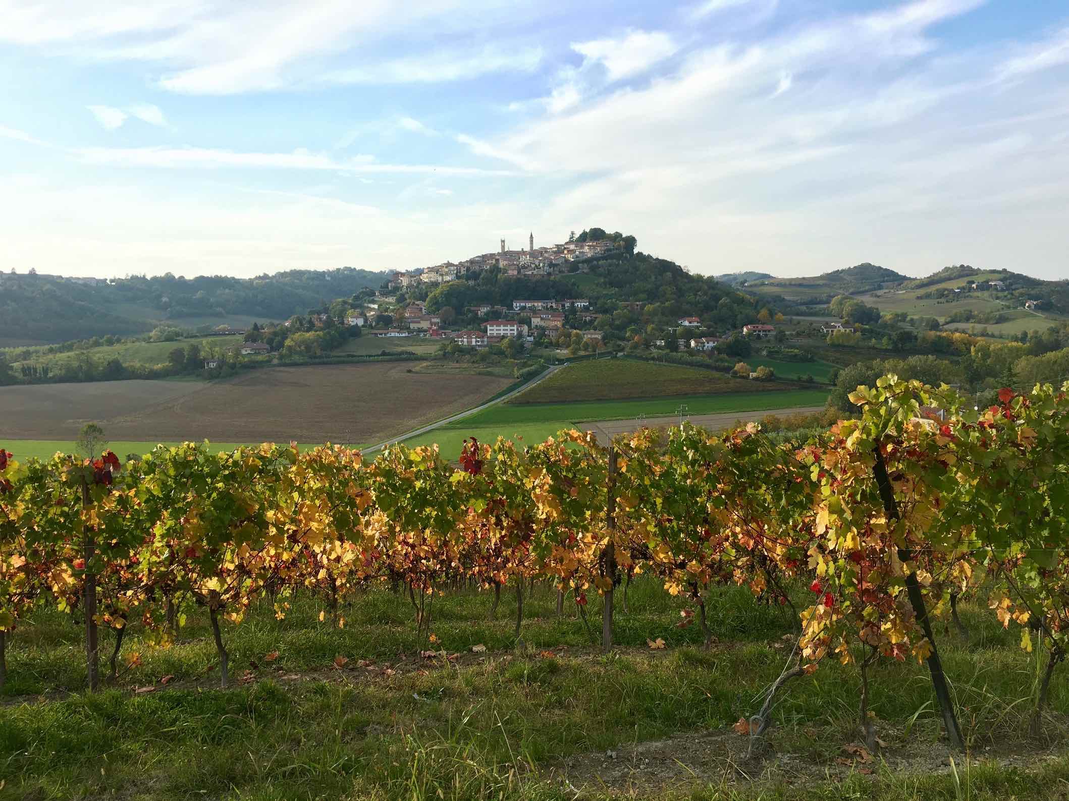 "Grignolino al castello" a Rosignano Monferrato