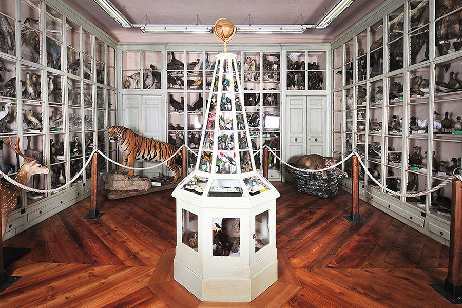 Museo Civico Craveri di Storia Naturale - Sistema museale di Bra 