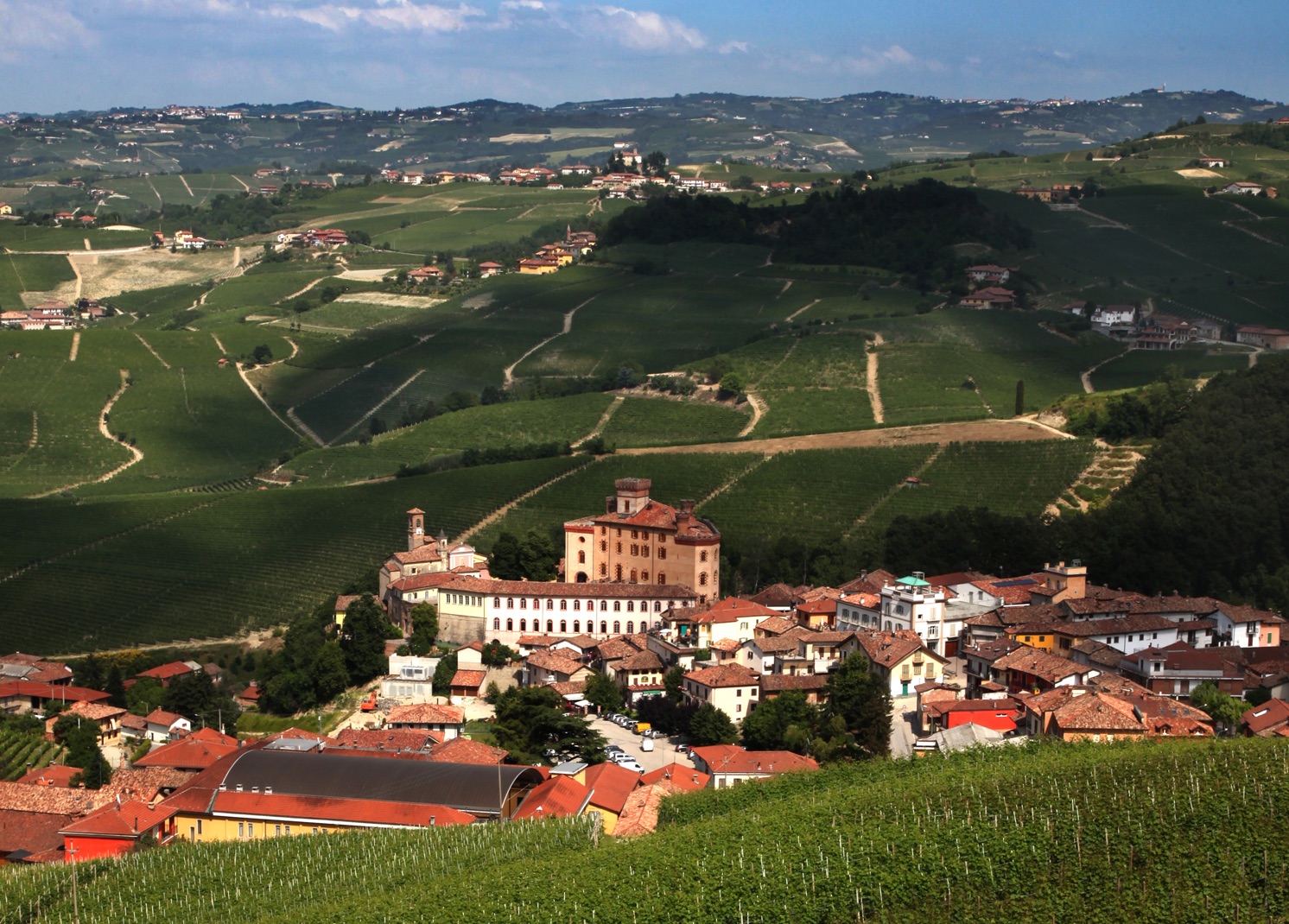 F@Mu arriva al Museo del Vino