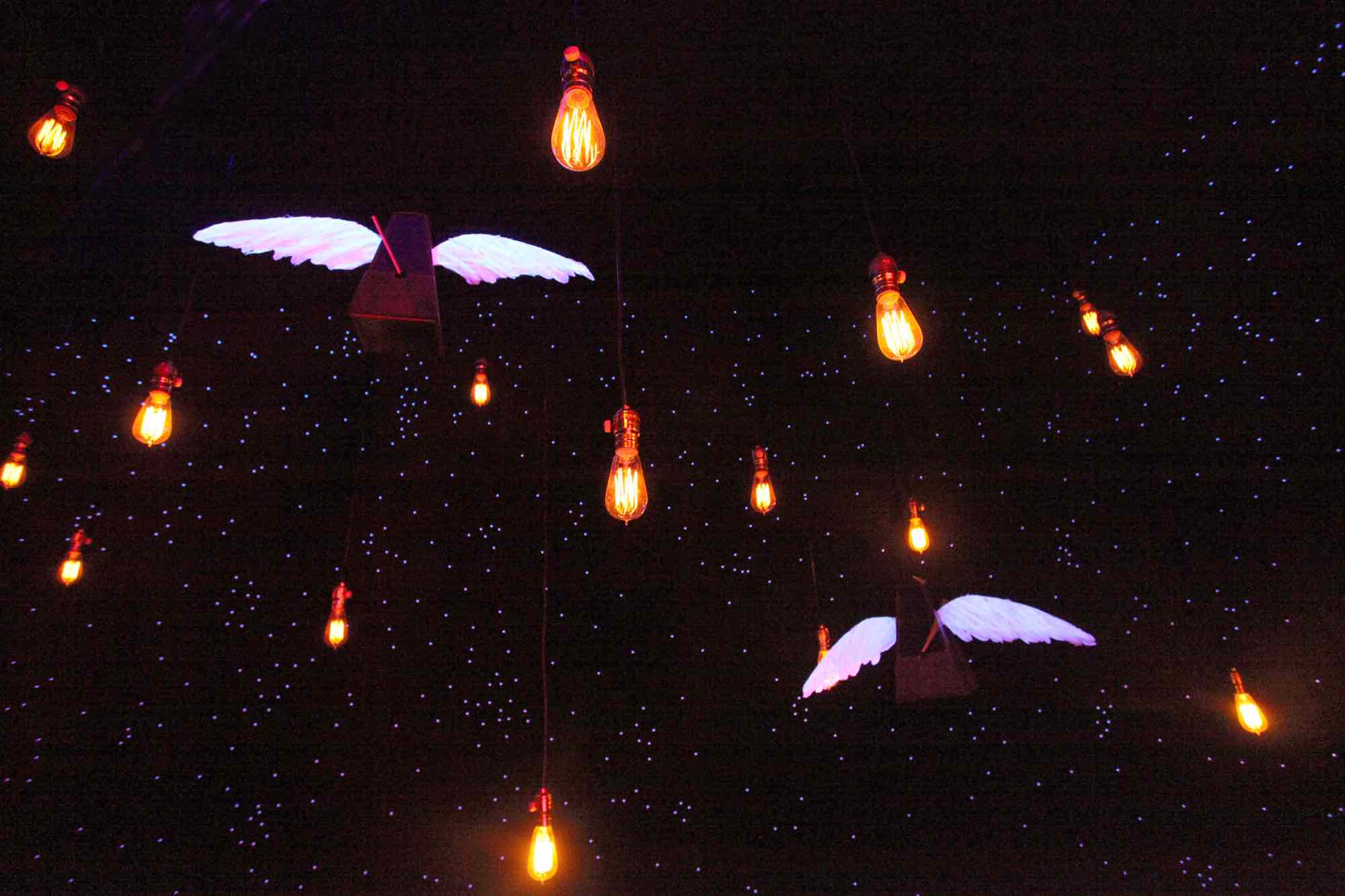 Il WIMU delle famiglie